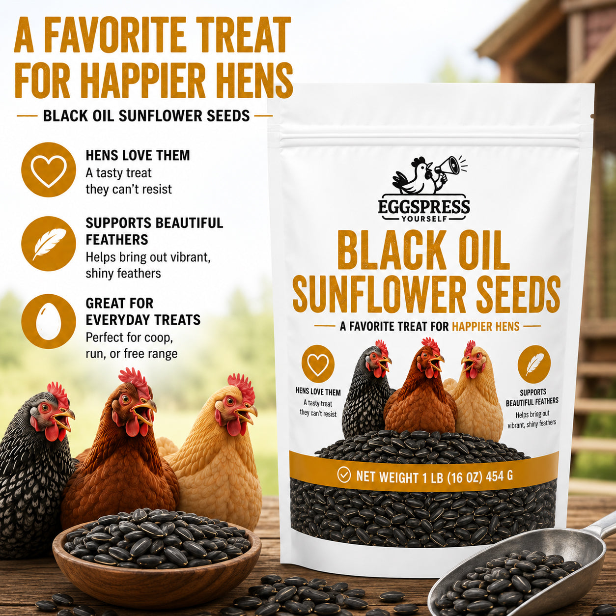 Black Oil Sunflower Seeds