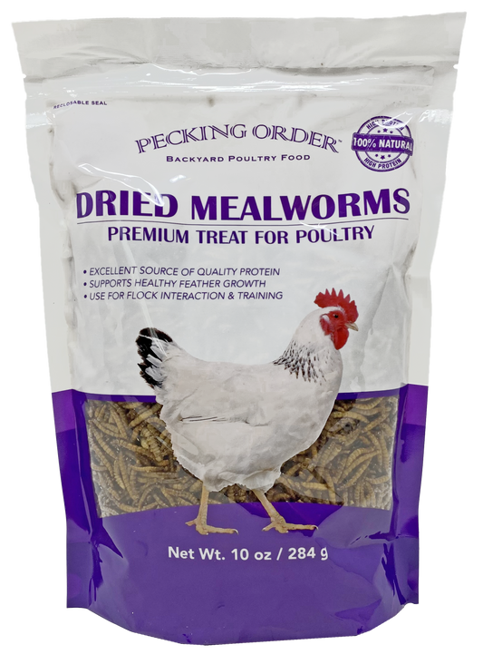 Dried Mealworms (10oz)