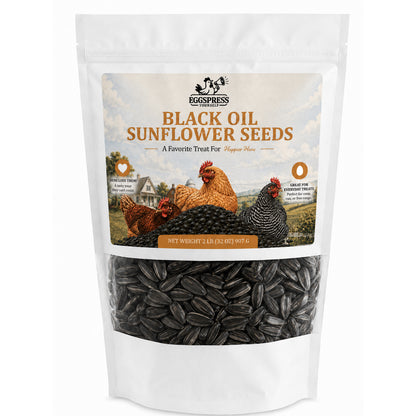 Black Oil Sunflower Seeds