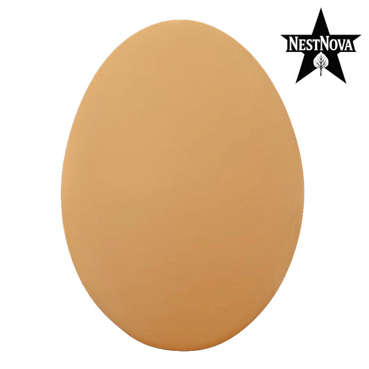 NestNova™ Ceramic Training Eggs