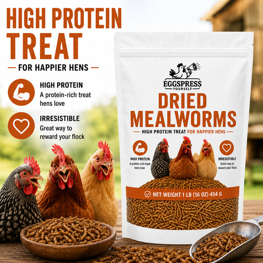 Dried Mealworms