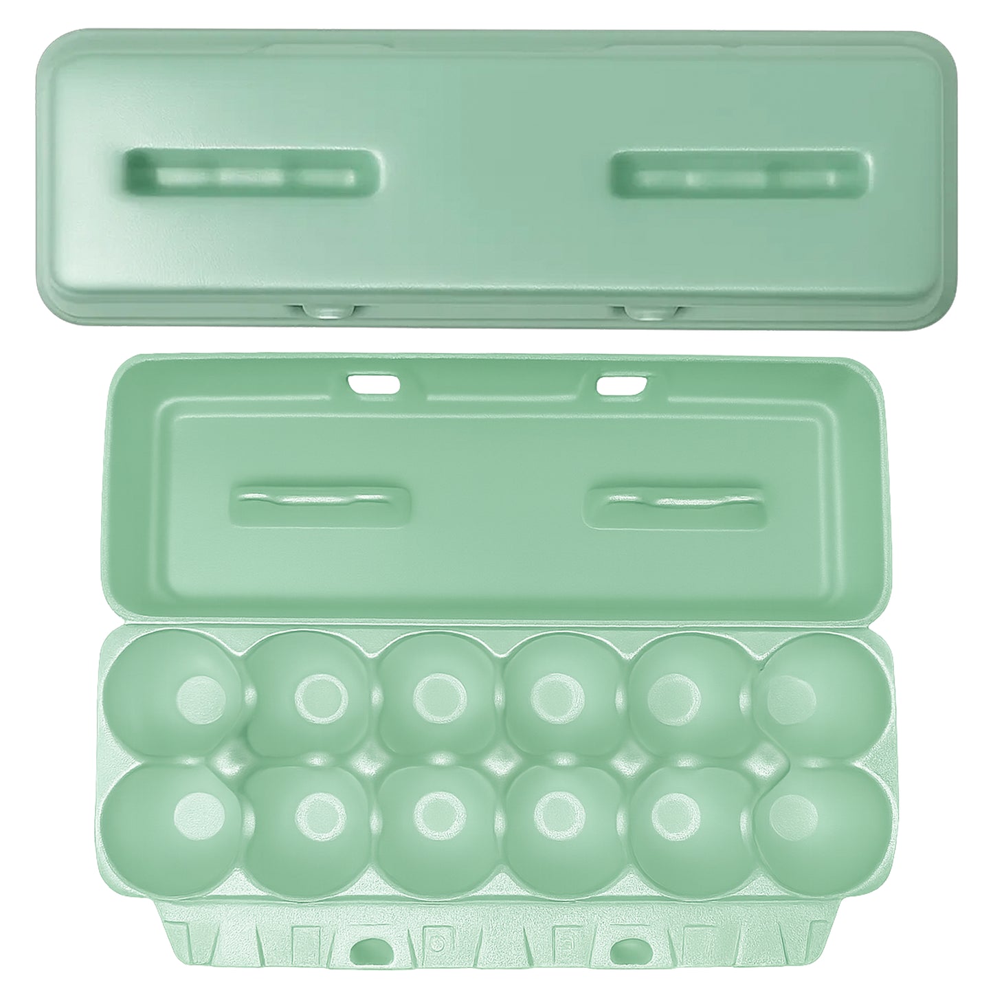 Foam Egg Cartons - Assorted