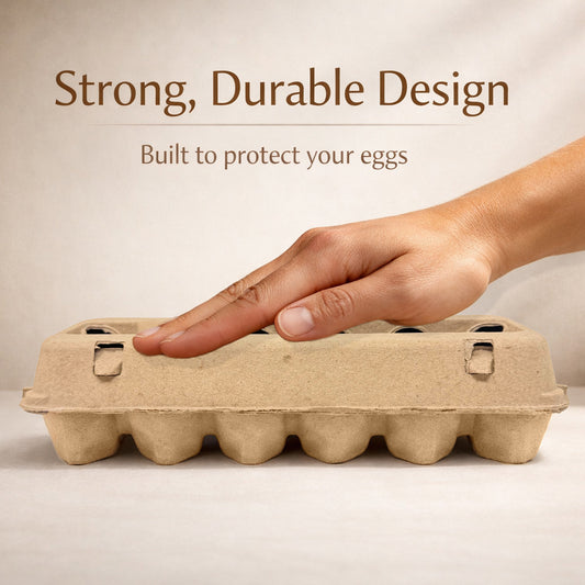 Flat Top Paper Egg Cartons - Natural Kraft