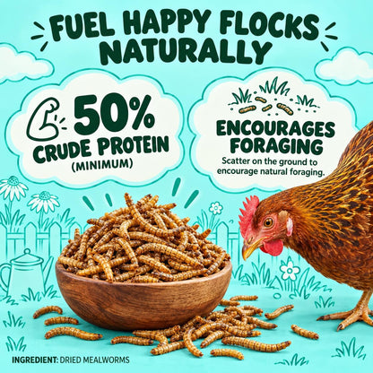 Dried Mealworms - 30oz