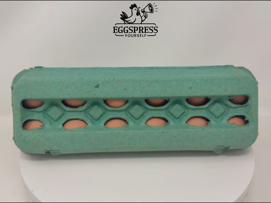 Vent-Top Paper Egg Cartons – Teal